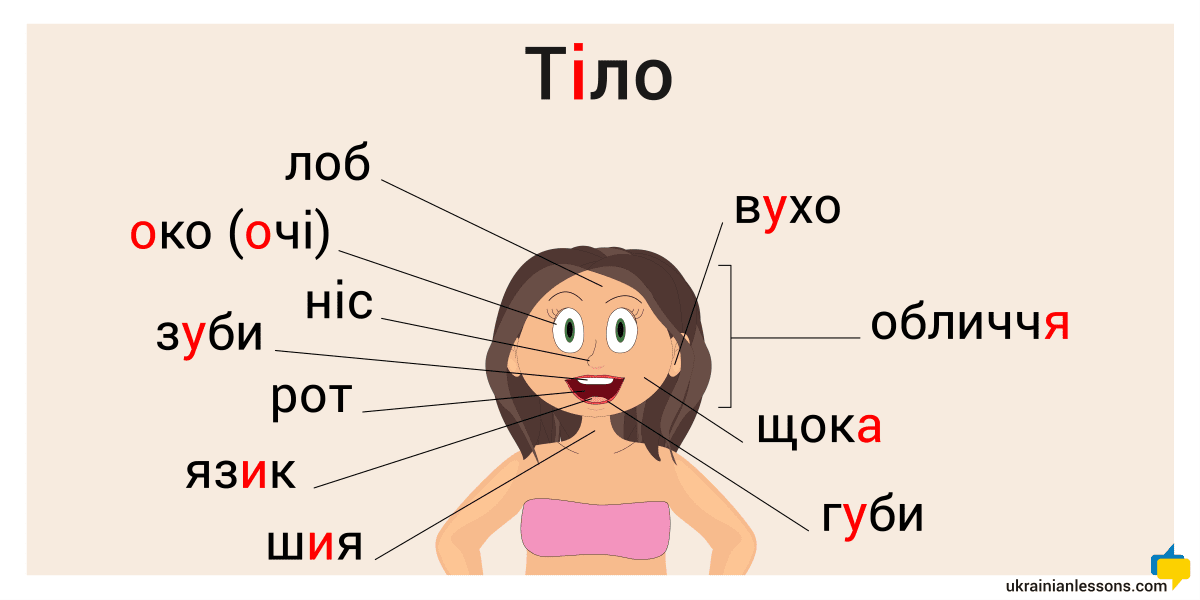 Тіло - Body in Ukrainian - Ukrainian Lessons