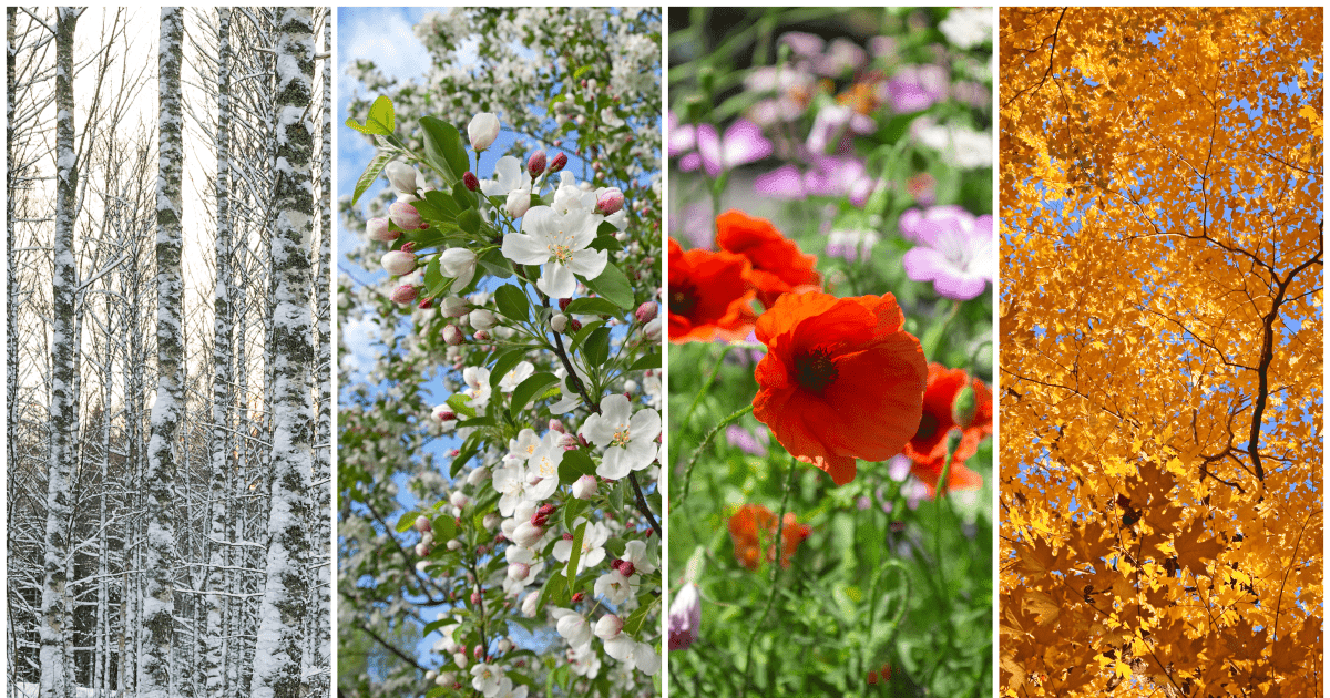 Пори року — Seasons in Ukrainian (with Illustrations and Audio