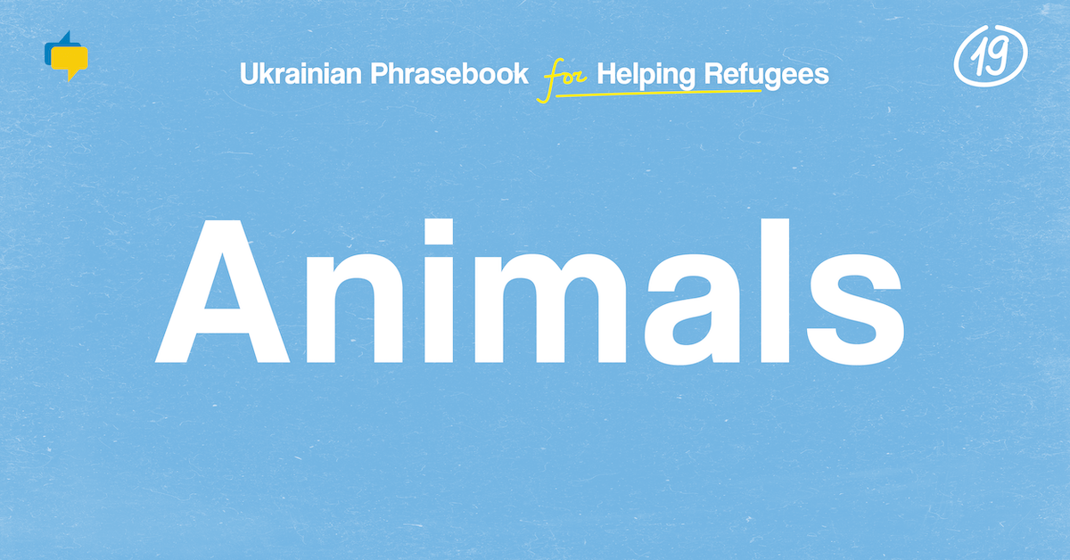 Animals — Ukrainian Phrasebook for Helping Refugees
