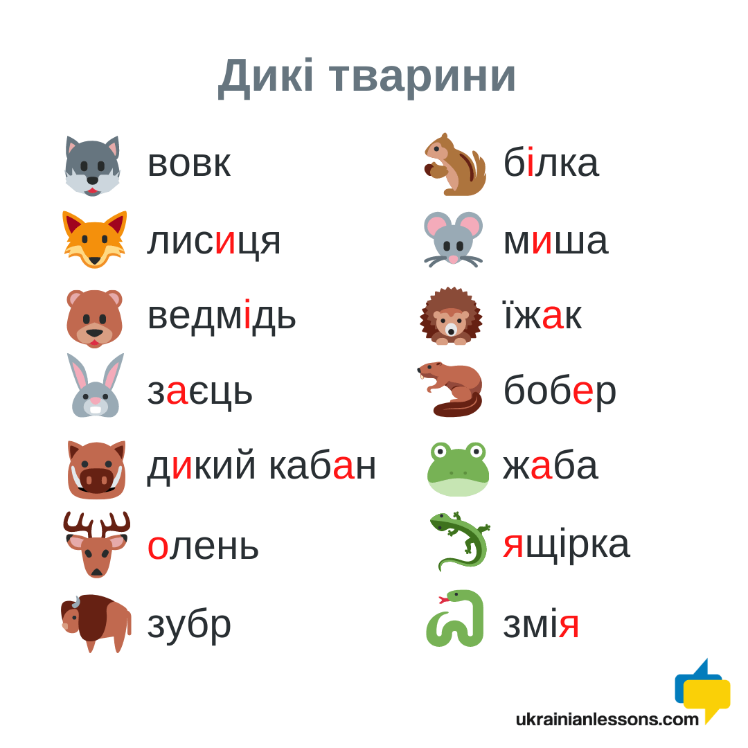 wild animals in Ukrainian